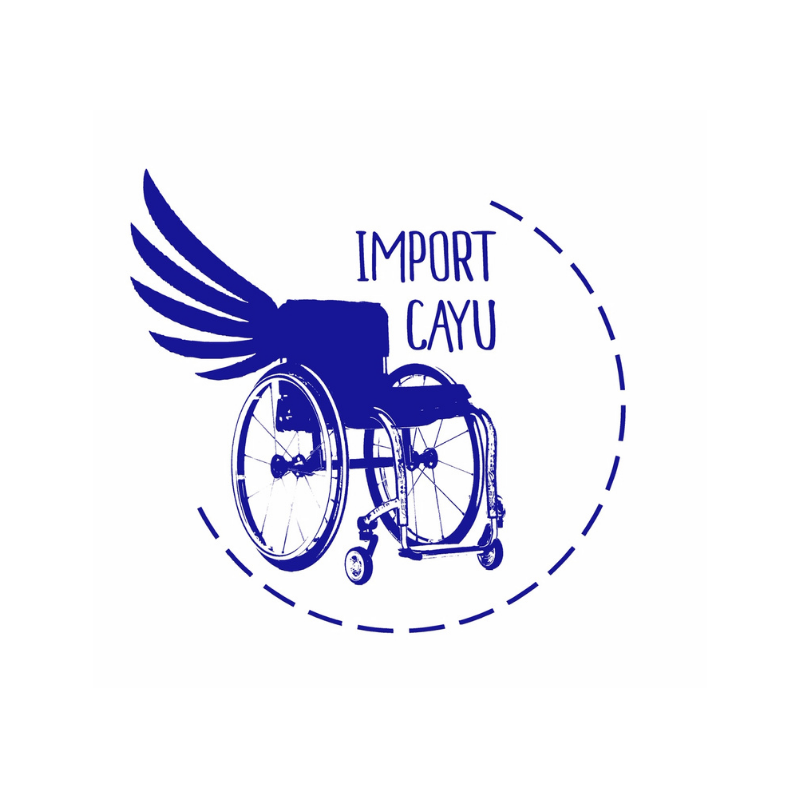 Logo Import Cayu (Silla de ruedas con alas)